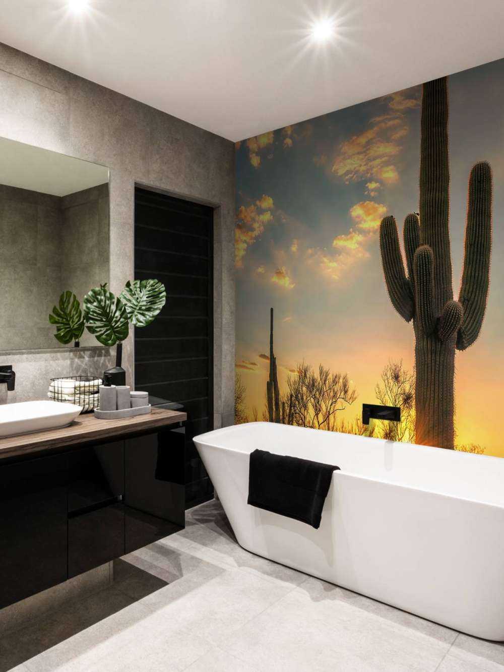 Cactus au coucher du soleil