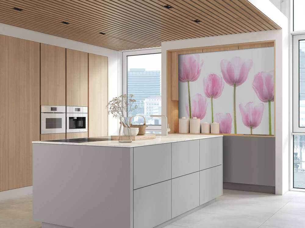 Tulipes roses