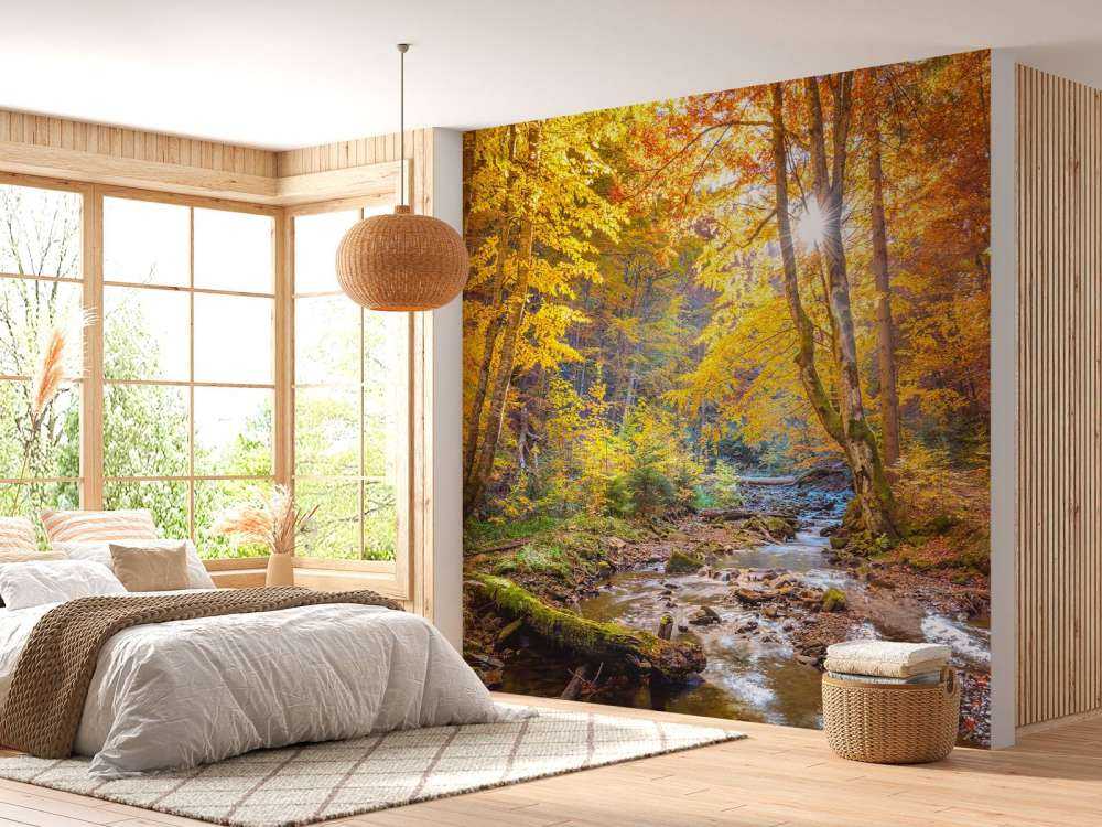 Automne dans une forêt sauvage