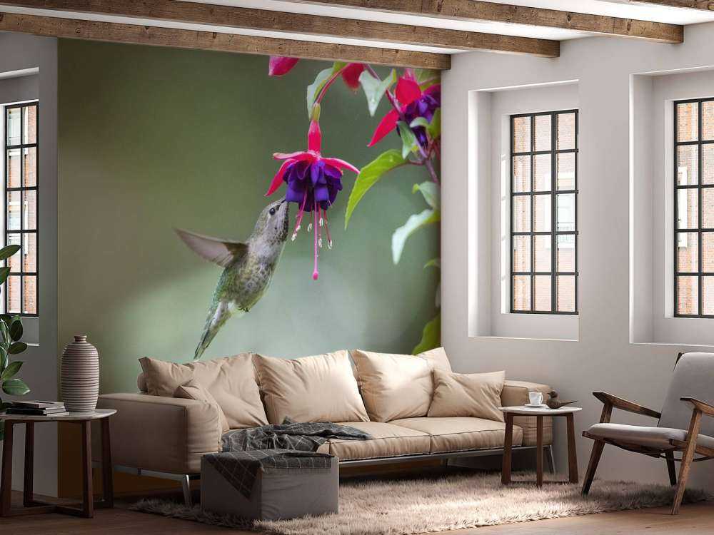 Colibri en vol