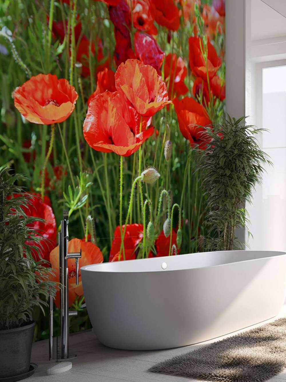 Gros plan sur des coquelicots