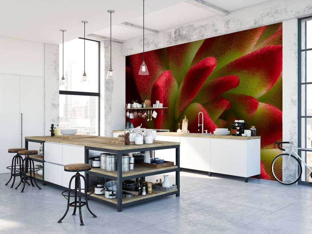 Cactus rouge