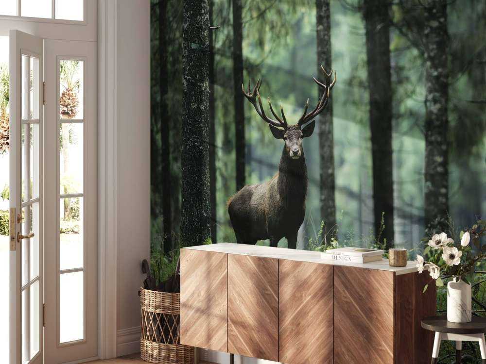 Grand cerf entre les arbres