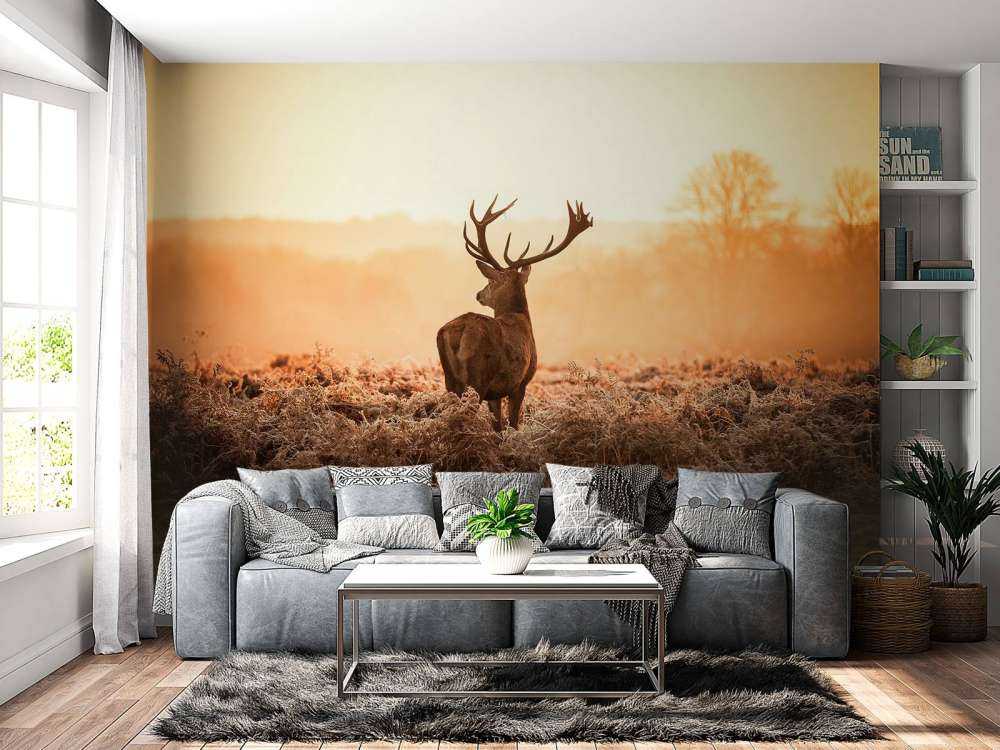 Cerf au lever du soleil