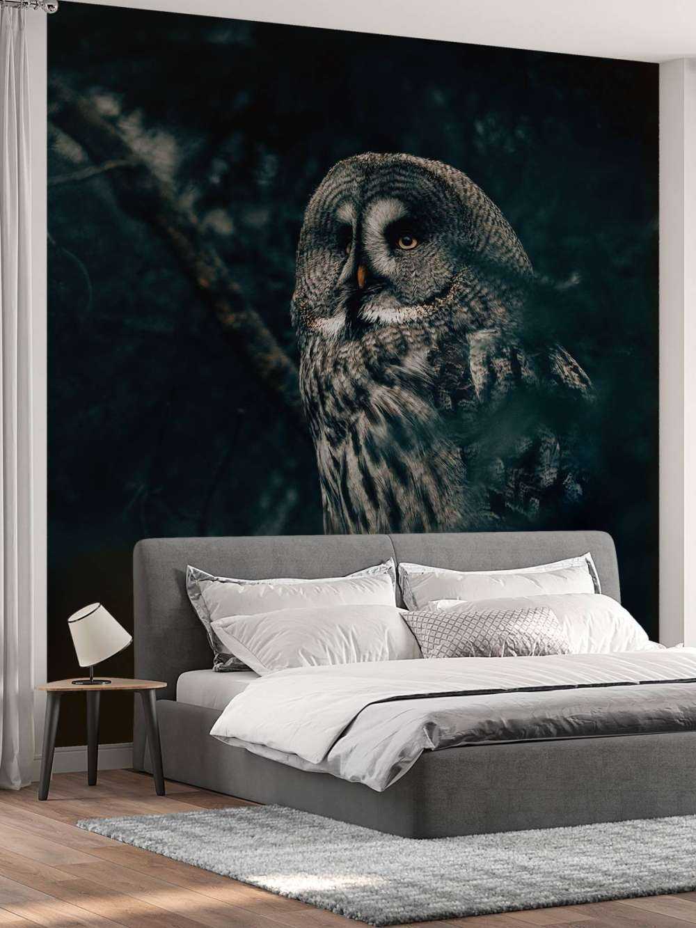 Hibou dans l'arbre