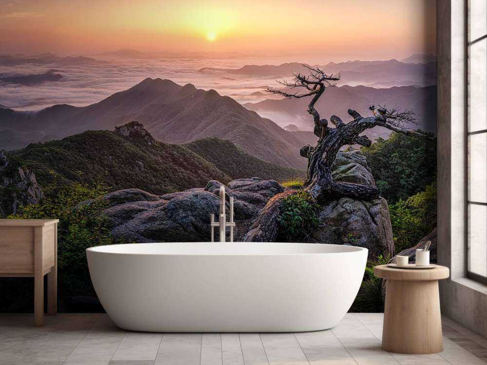 Sunrise on Top