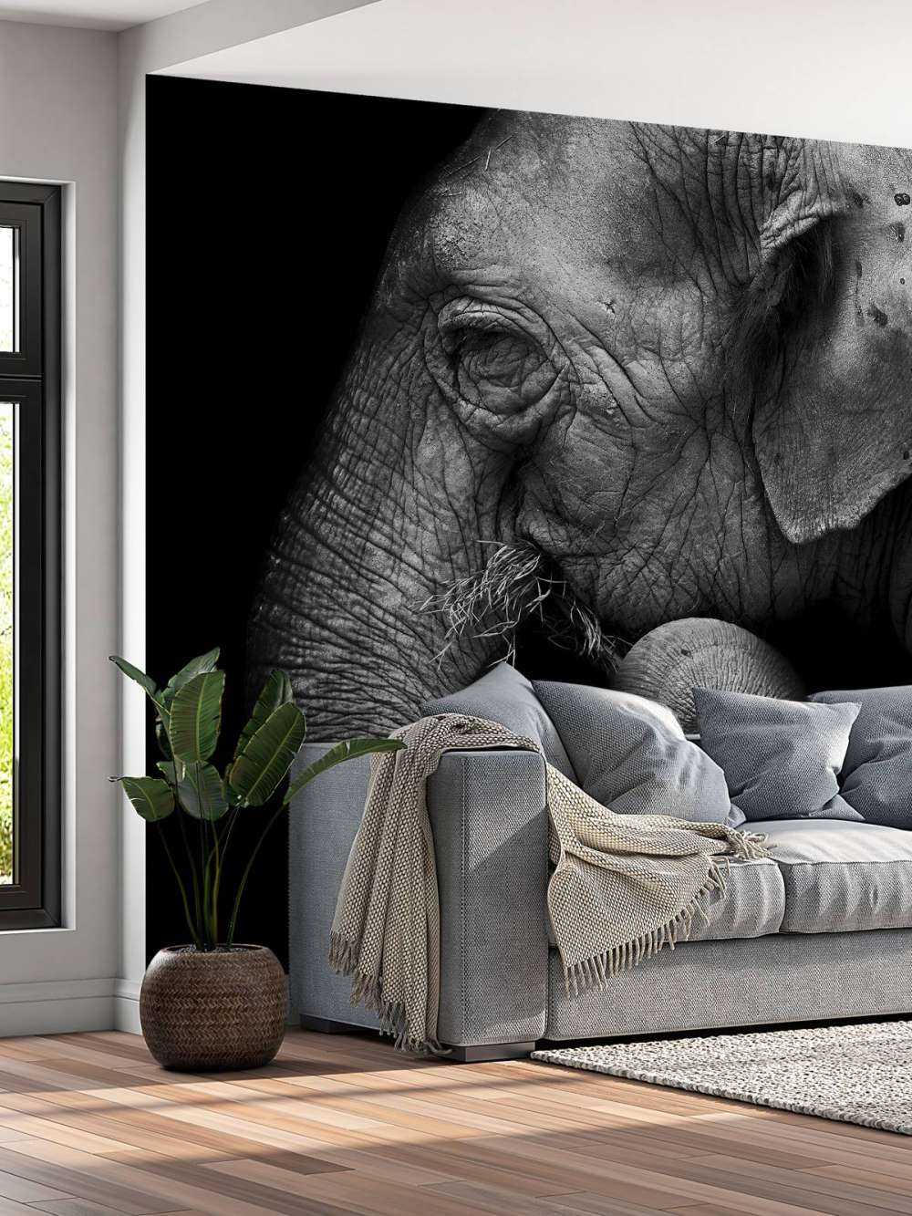 Portrait d'éléphant