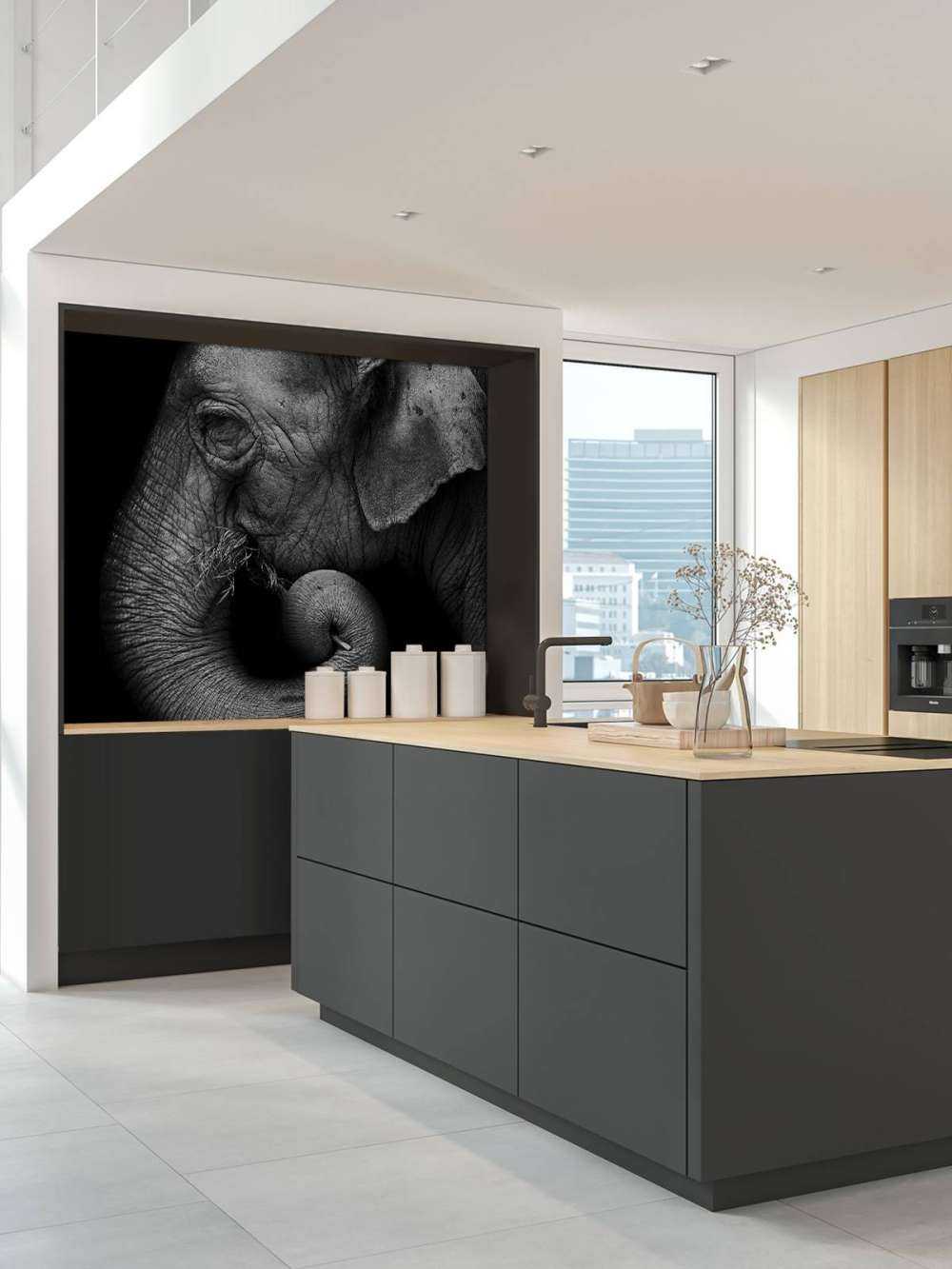 Portrait d'éléphant