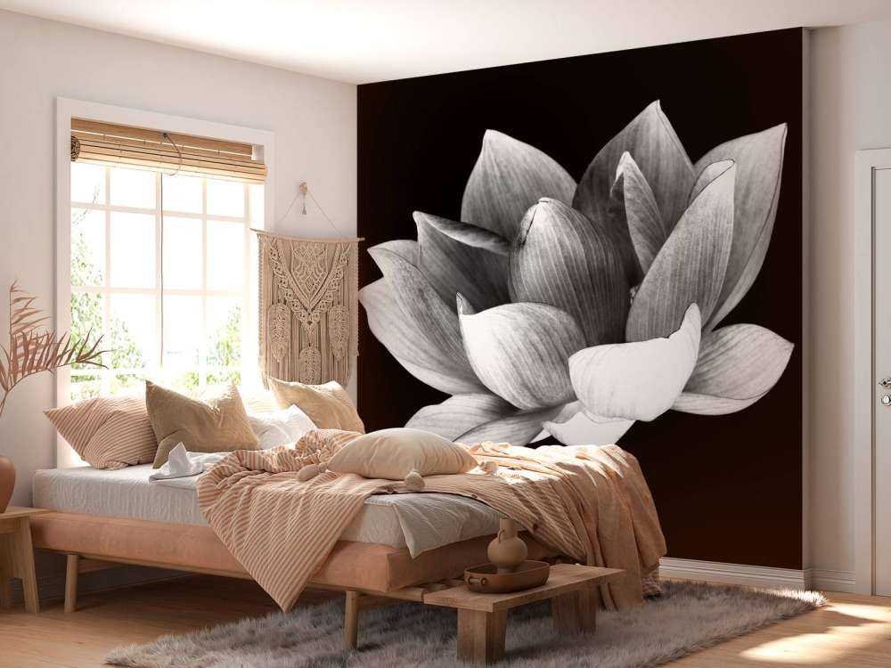 Lotus menotté