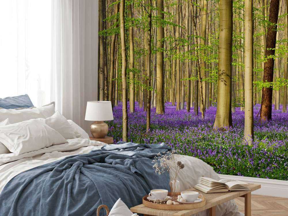 Forêt avec jacinthes des bois
