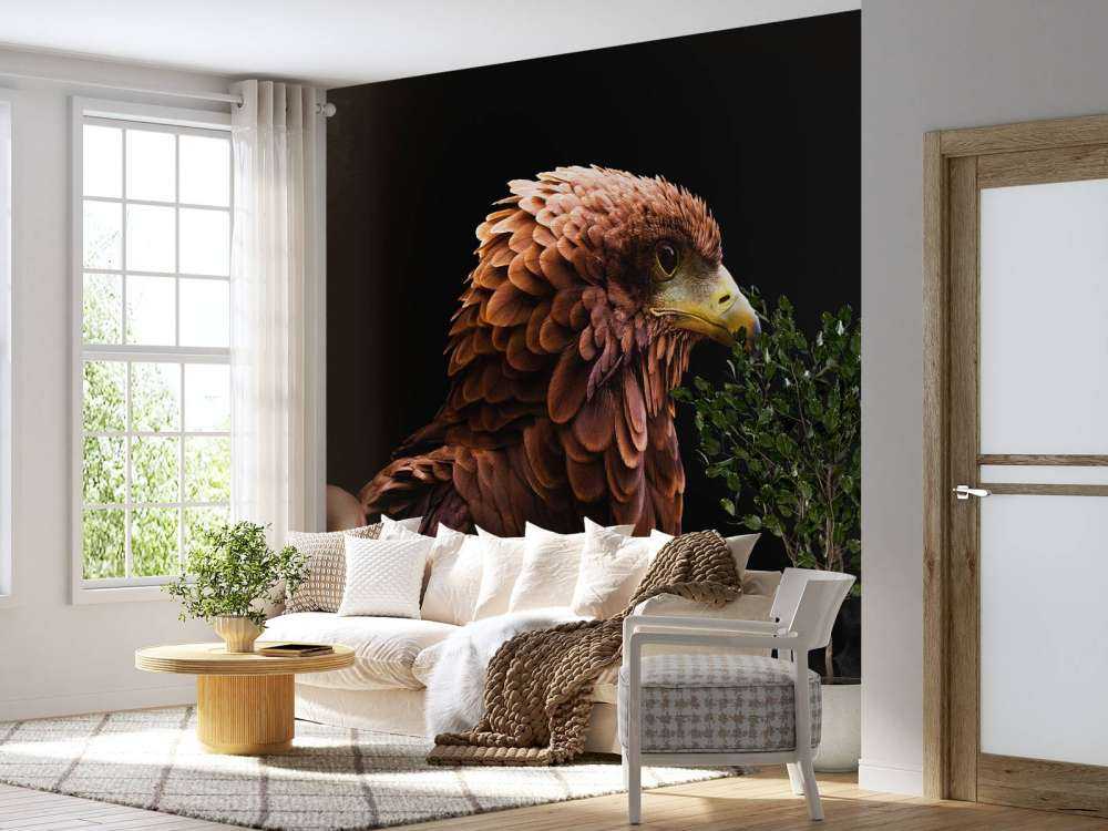 Roman Hawk