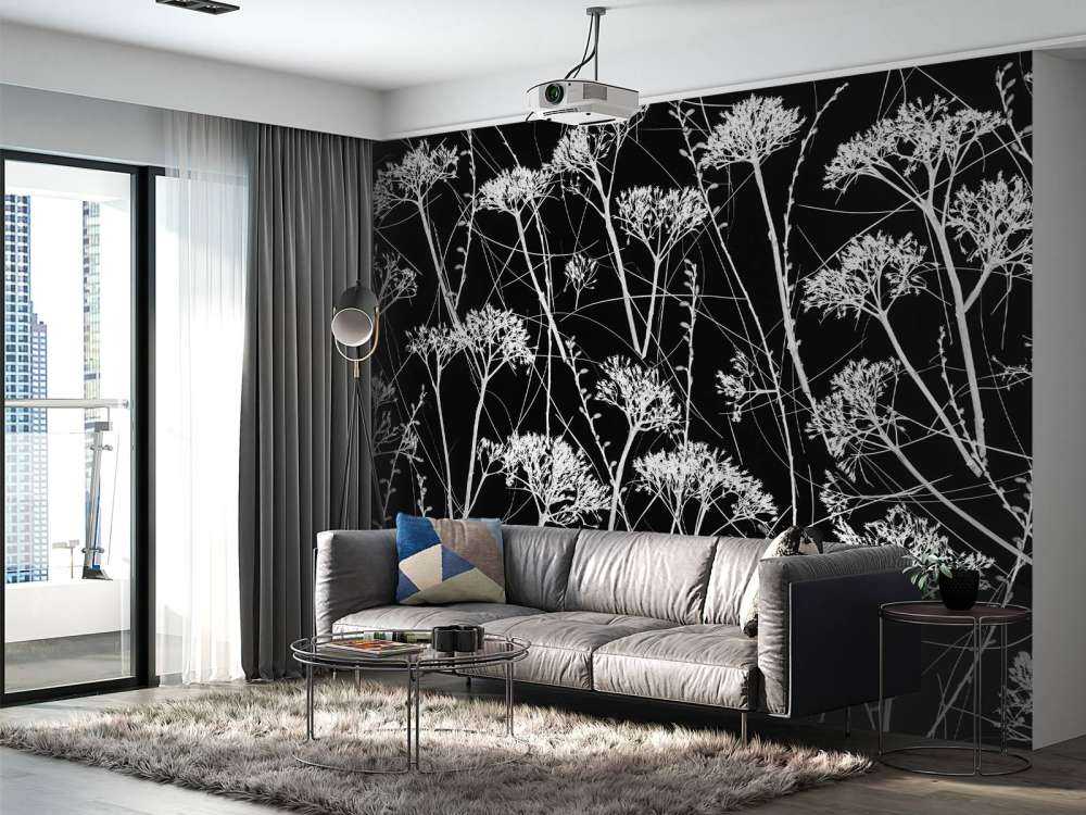 Silhouette de plantes séchées