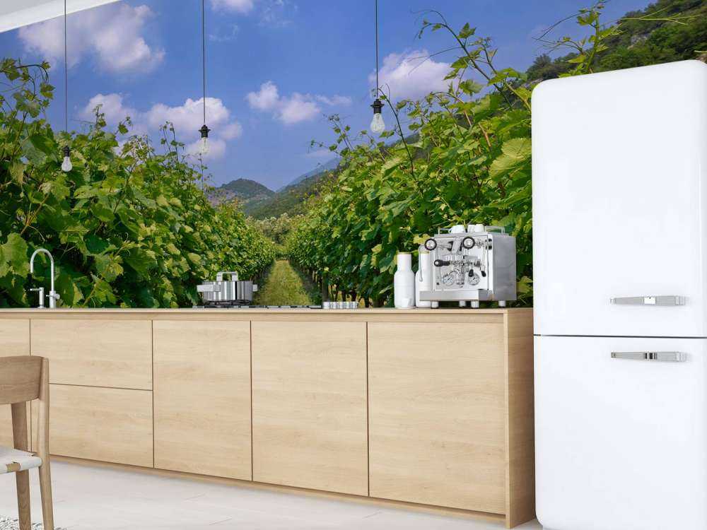 Vignoble en Italie