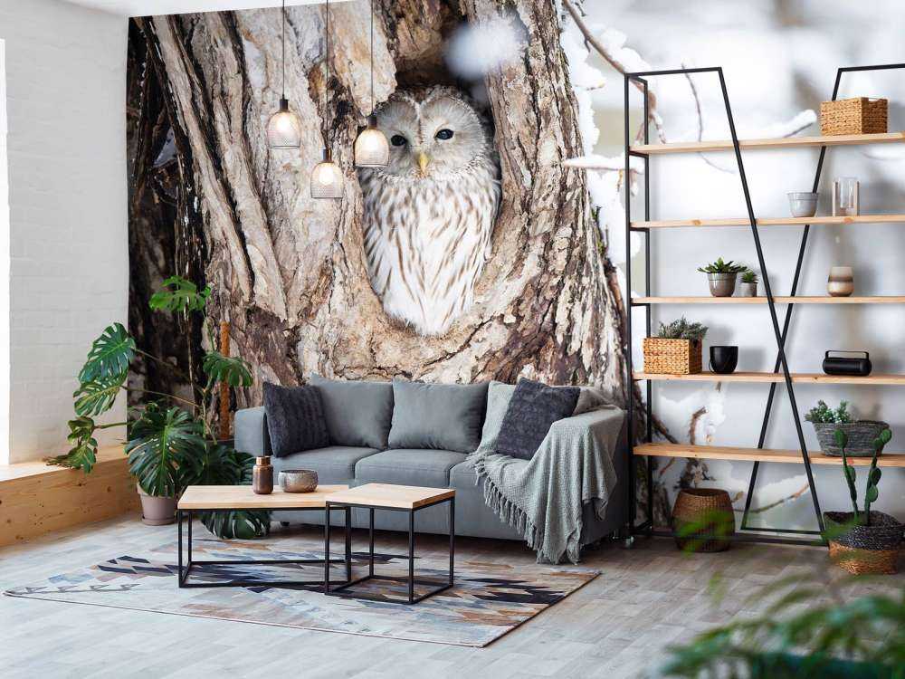 Chouette blanche dans un arbre creux