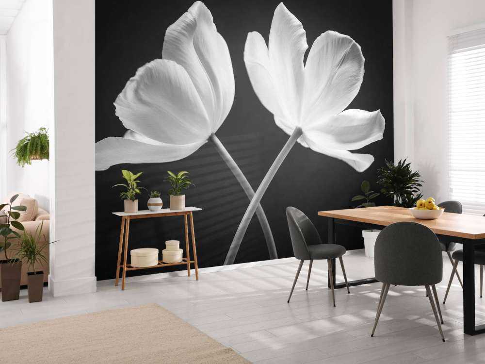 Tulipes croisées