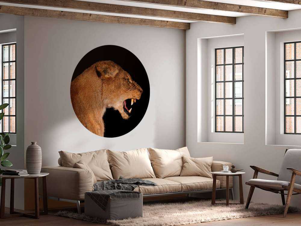 Lionne vue de côté