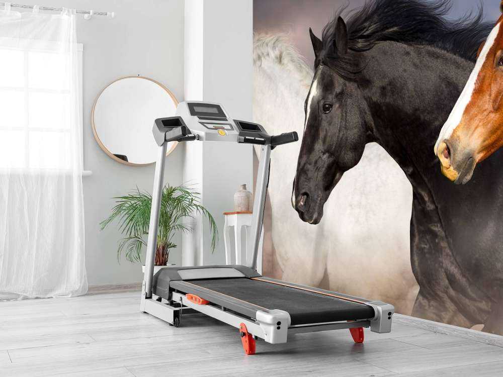 Troupeau de chevaux
