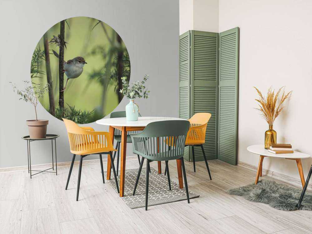 Oiseau sur une branche