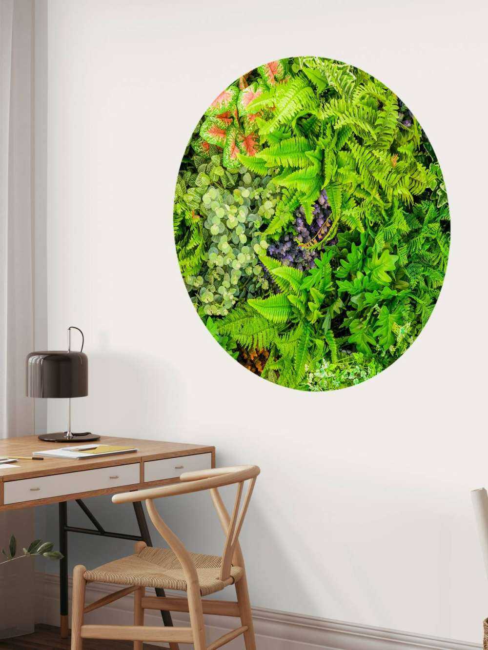 Mélange de plantes