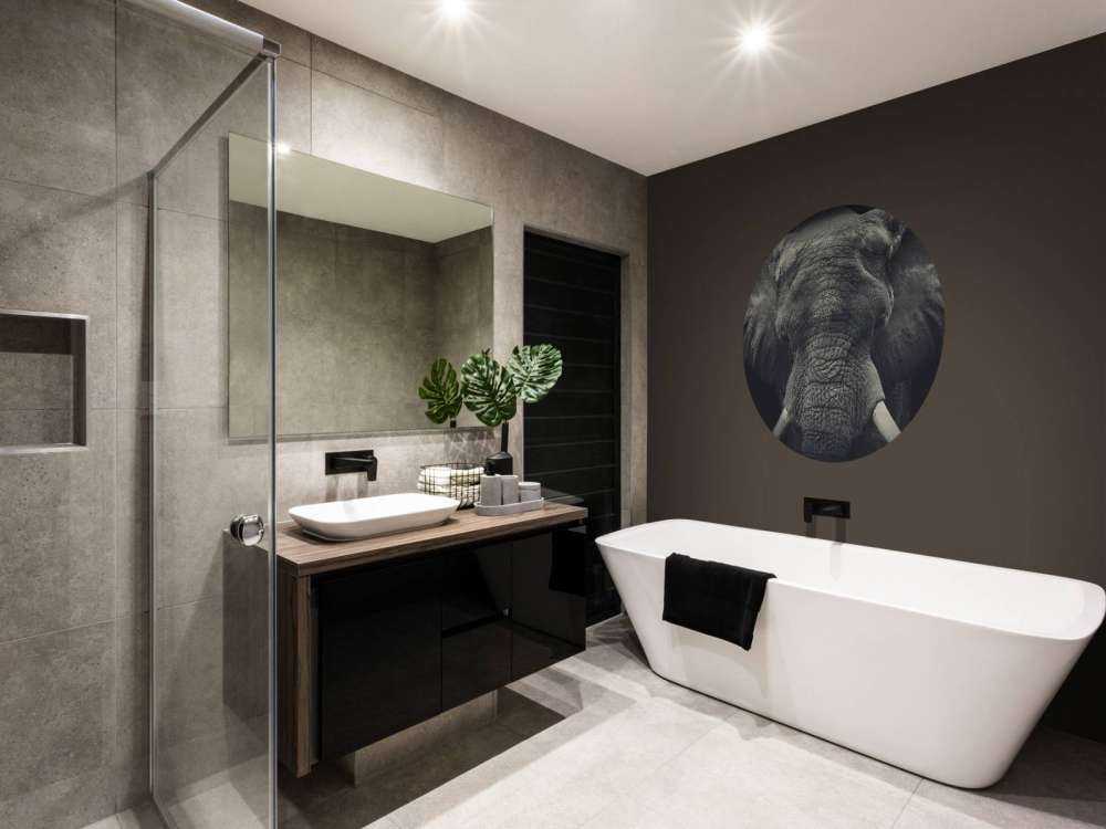 Gros plan sur un éléphant