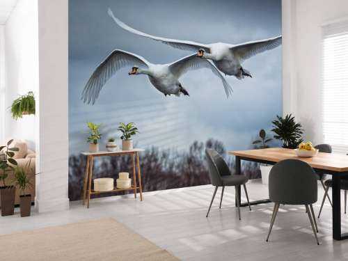 Cygne volant