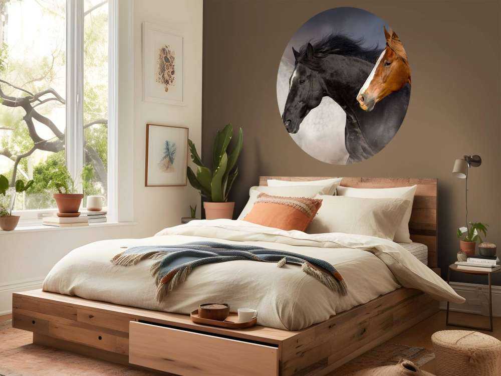 Troupeau de chevaux