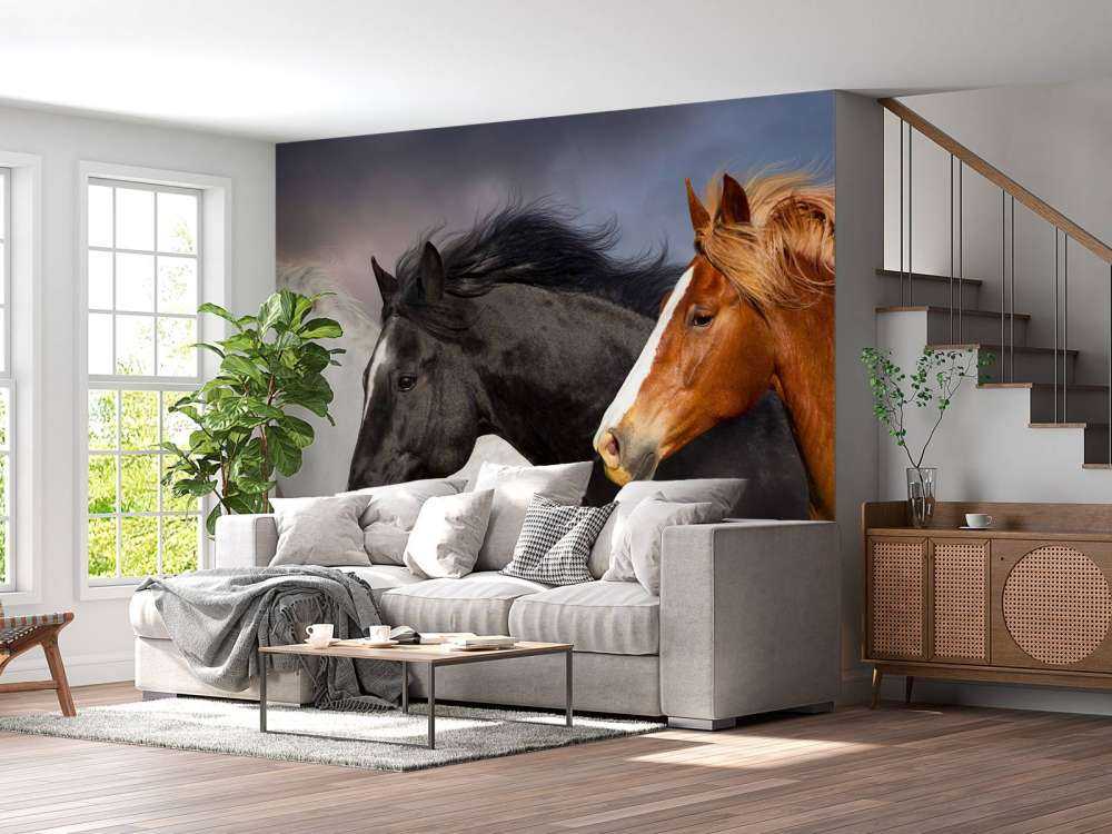 Troupeau de chevaux