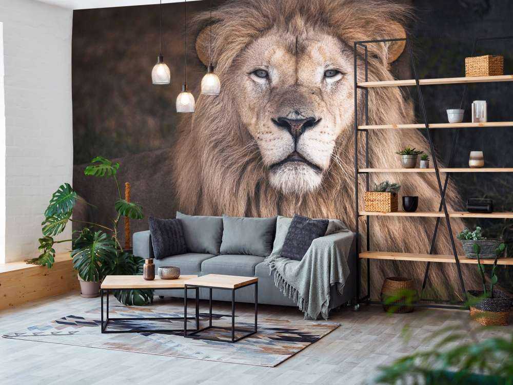 Portrait d'un lion