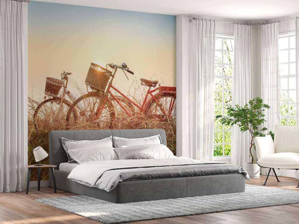 Vélos vintage