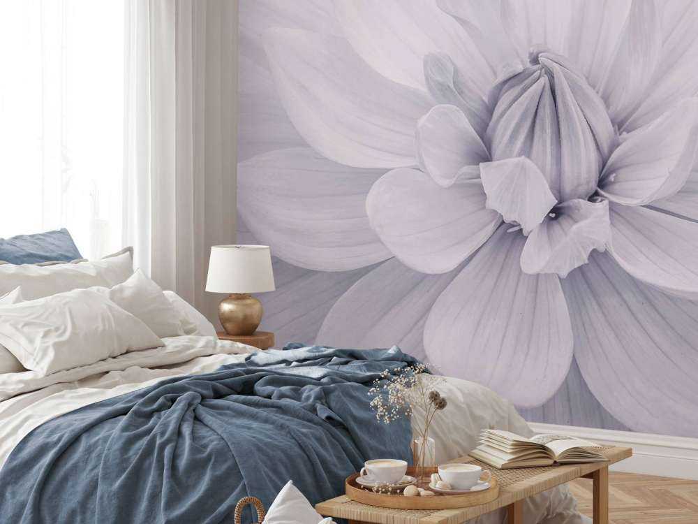 Fleur de dahlia blanc