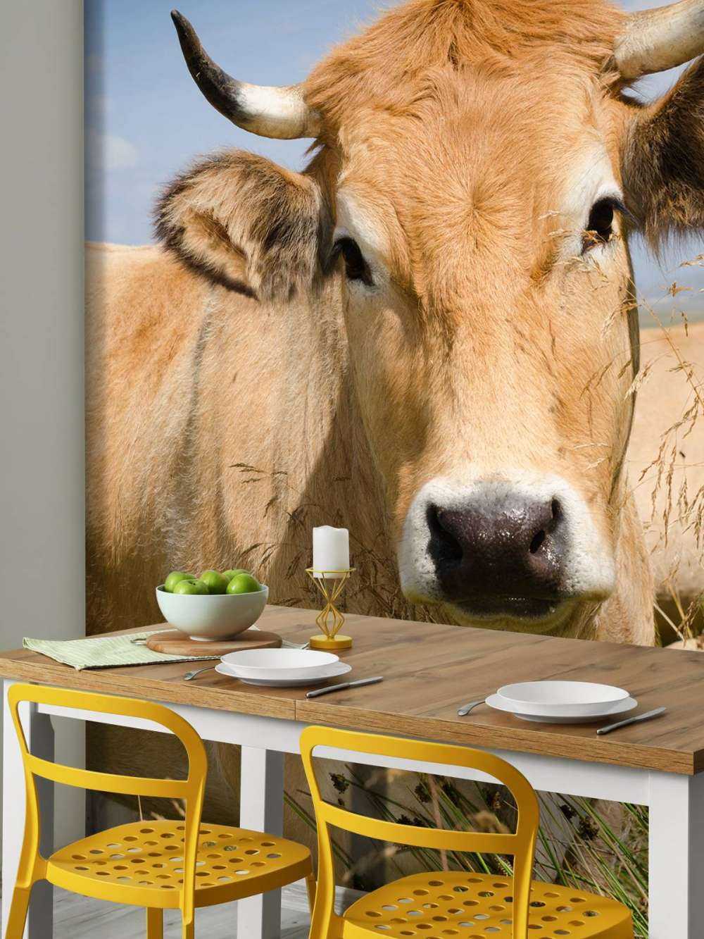 Vache à cornes