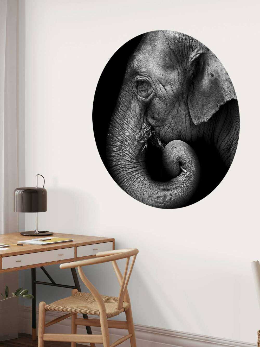 Portrait d'éléphant