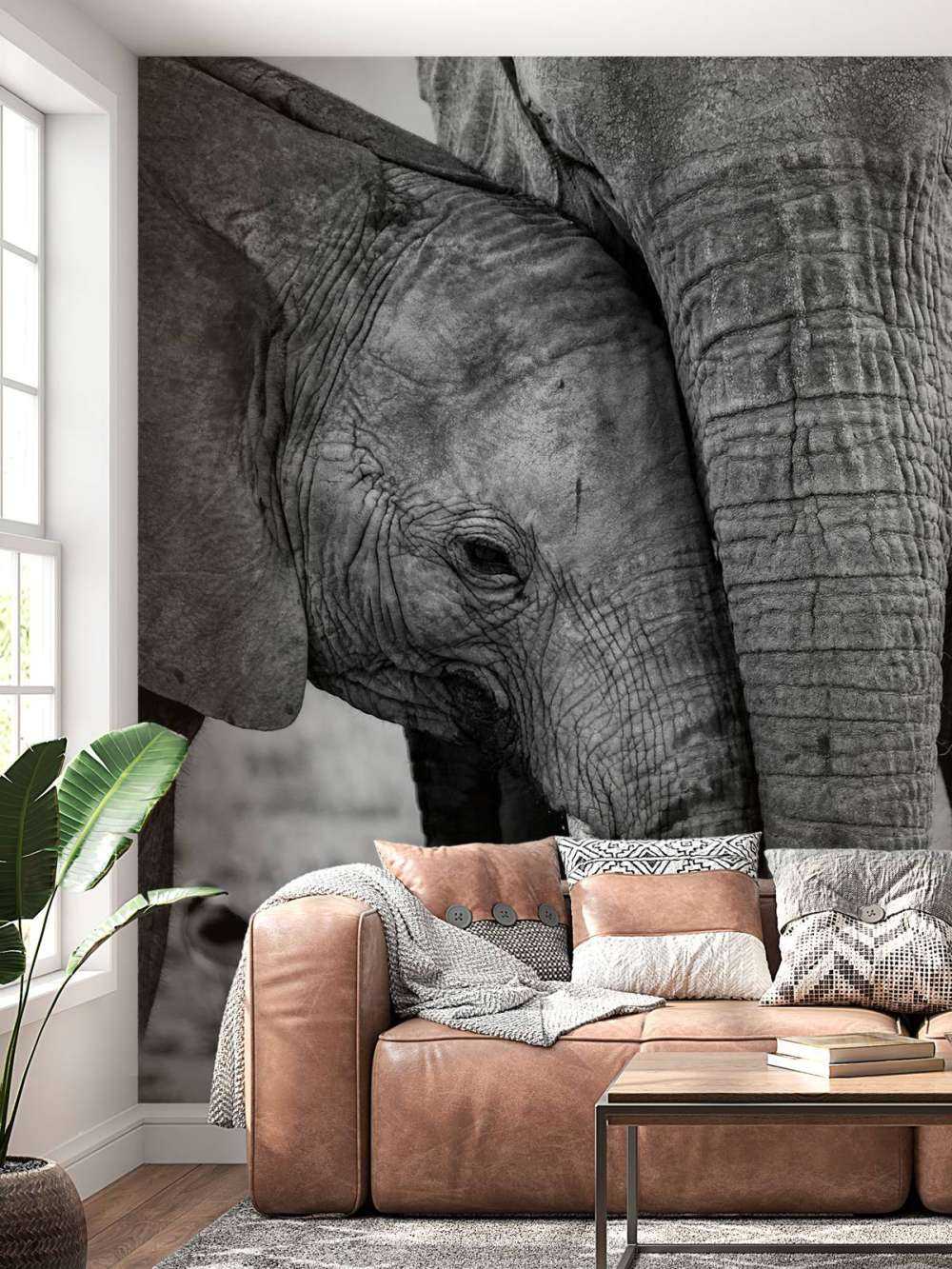 Câliner les éléphants