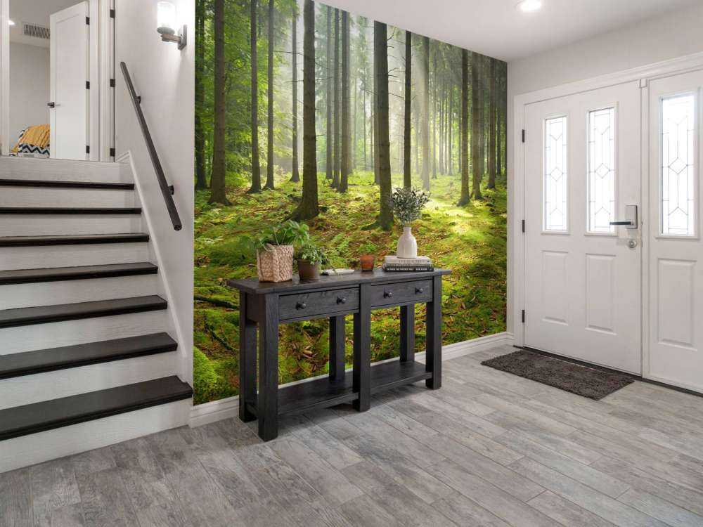 Forêt d'épicéas ensoleillée