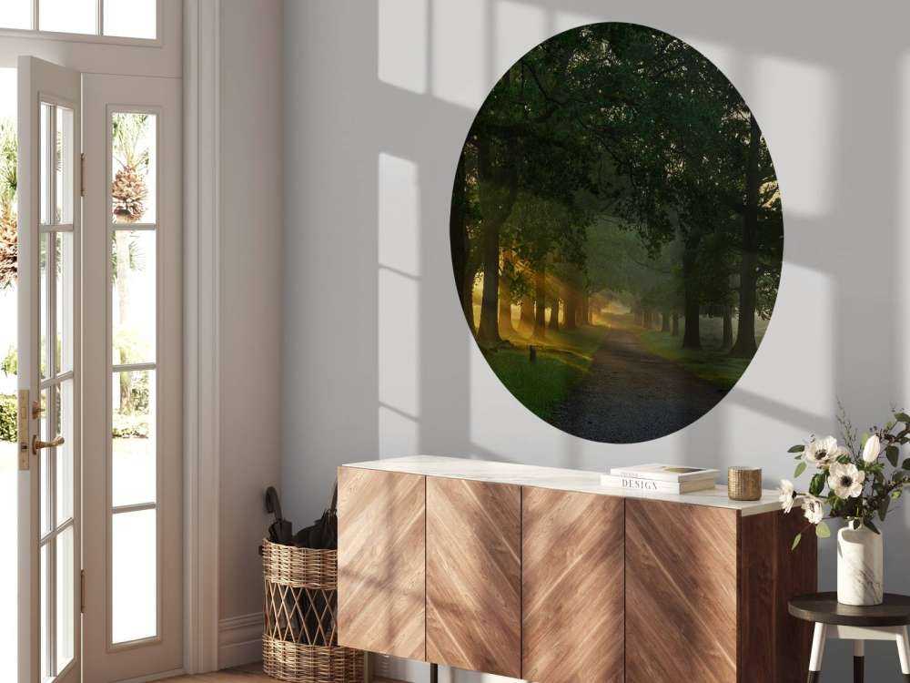Chemin sans fin avec des arbres