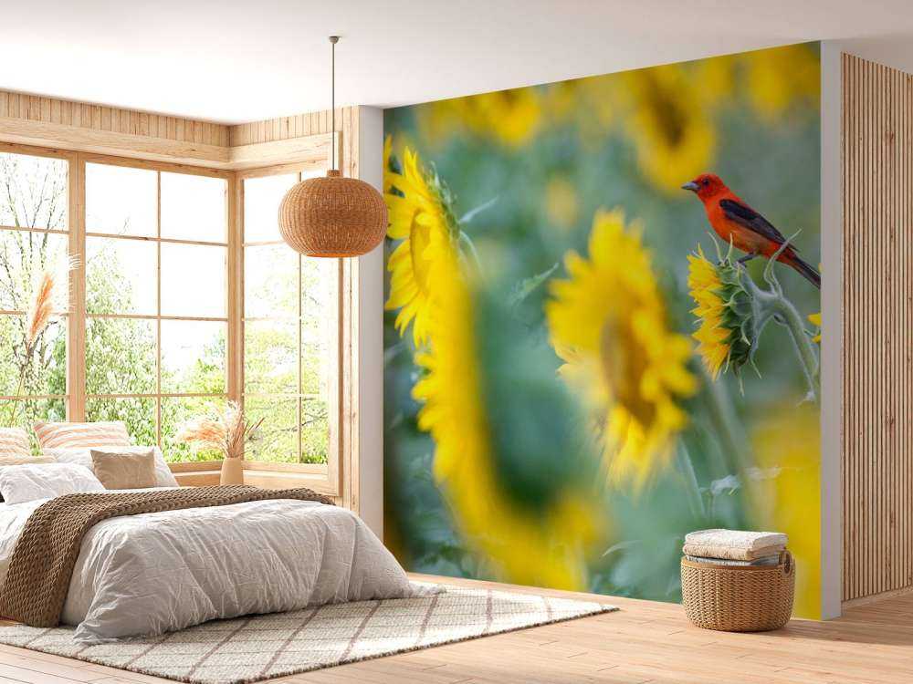 Champ de tournesols avec un oiseau rouge