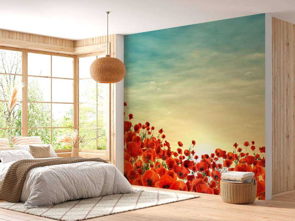 Coquelicots au coucher du soleil