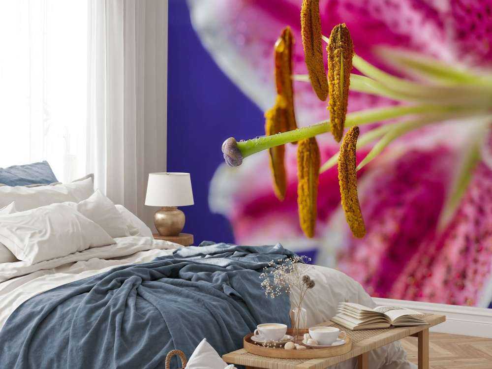 Gros plan sur une fleur rose