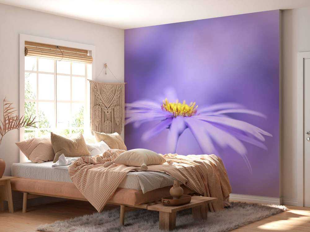 Marguerites violettes
