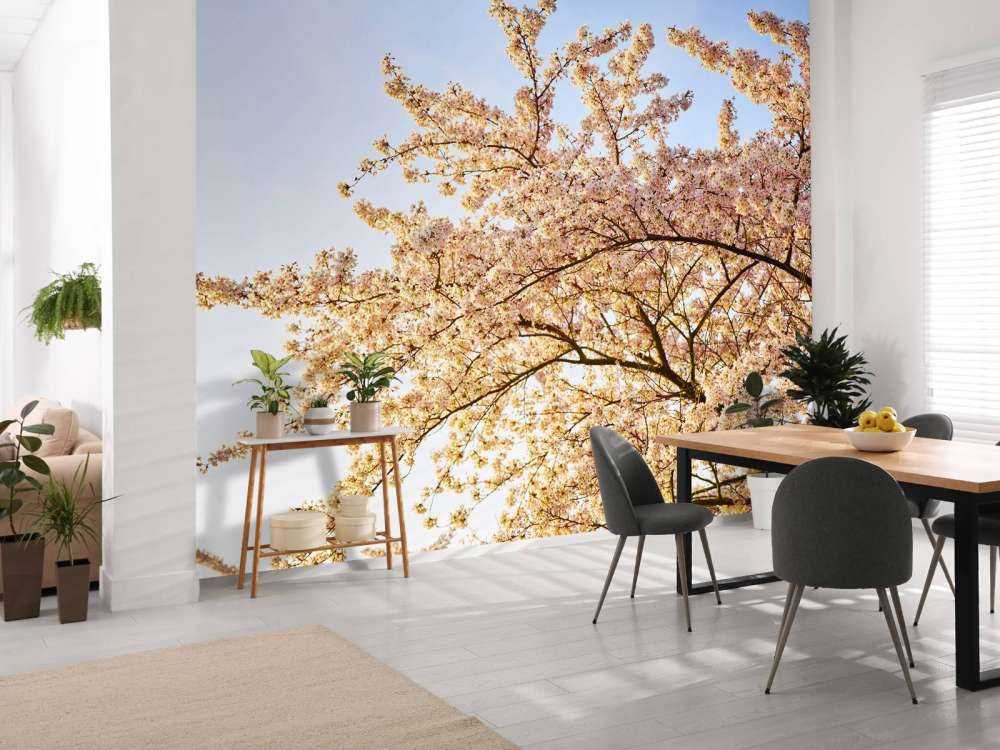 Une branche en fleur