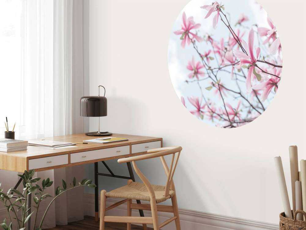 Magnolia
