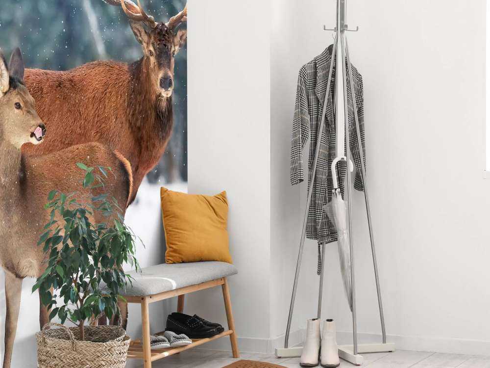 Cerf avec son faon
