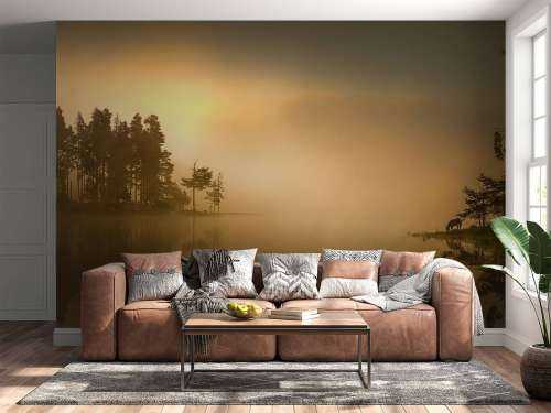 Island in the fog