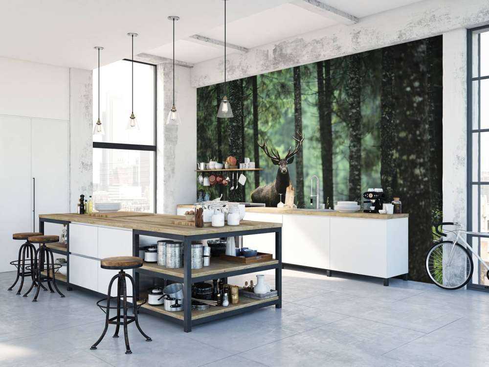 Grand cerf entre les arbres