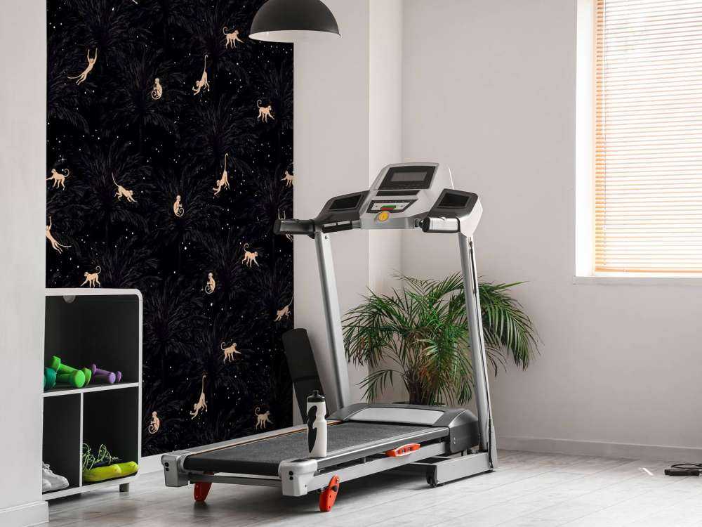 Singes tropicaux - noir