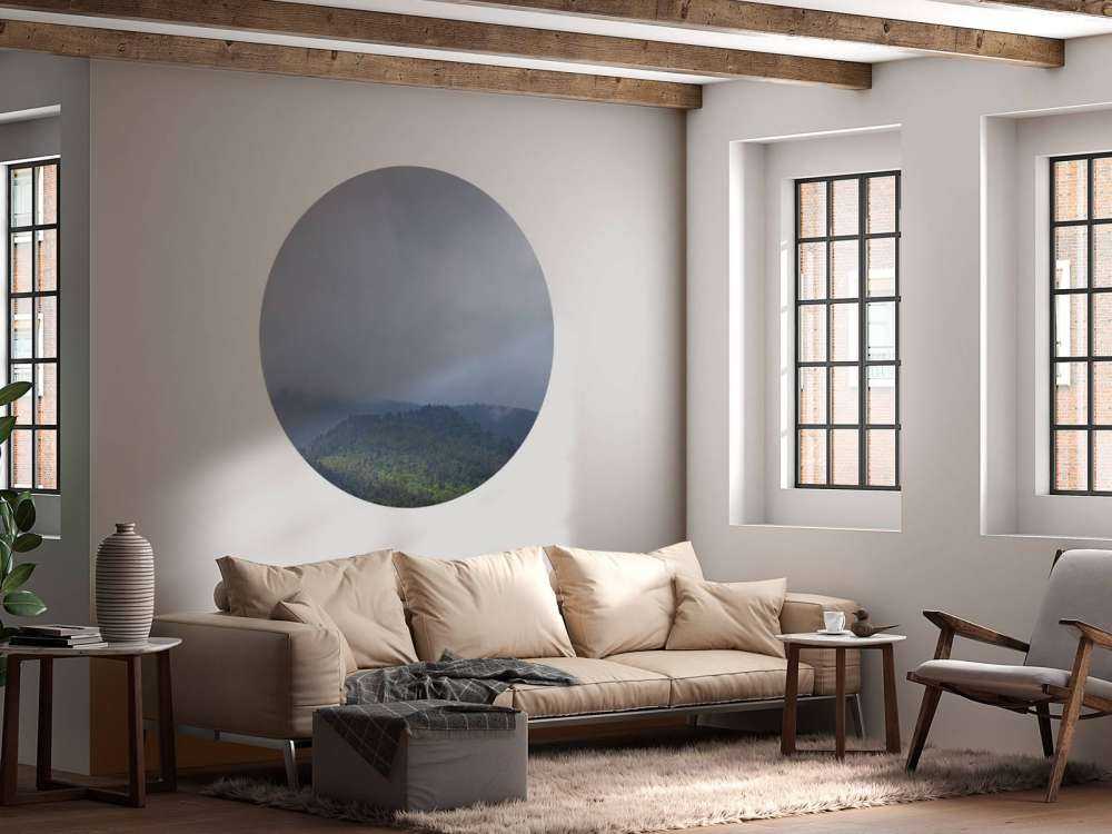 Nuages au-dessus des arbres dans les montagnes