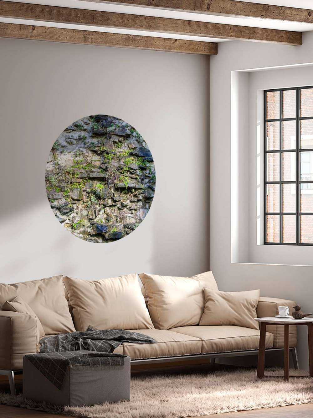 Mur envahi par la végétation