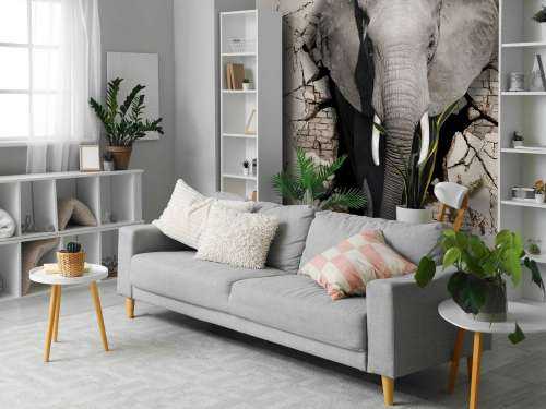L'éléphant en 3D depuis le mur