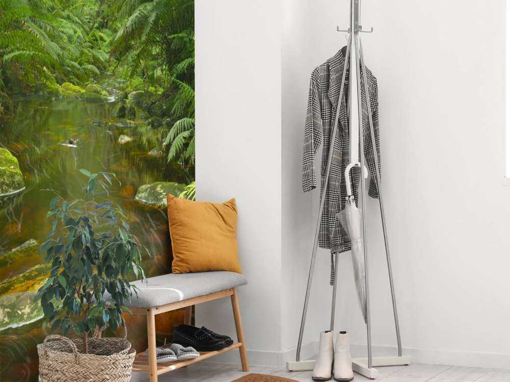 Rivière dans la forêt tropicale