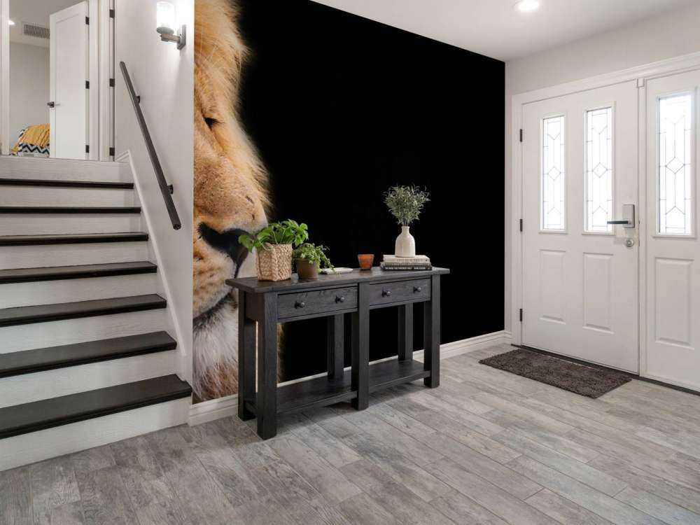 Lion en gros plan